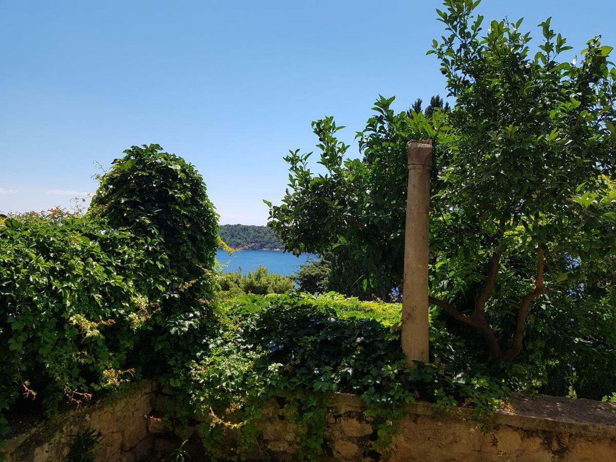 Villa Palmera Dubrovnik Exterior foto